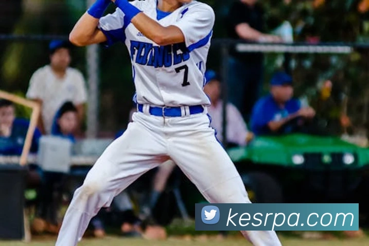 pa视讯平台生态图